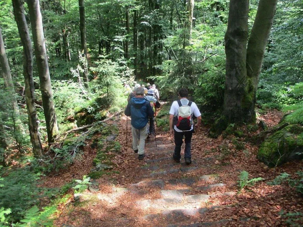 Ferienhaus Ederer Waldmünchen Allemagne